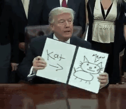 trump-executive-order-memes-1-58919d2ad509c__605